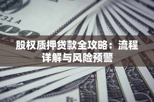 济南股权质押贷款全攻略：流程详解与风险预警