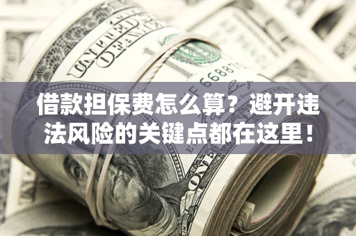 济南借款担保费怎么算？避开违法风险的关键点都在这里！