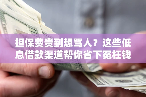 济南担保费贵到想骂人？这些低息借款渠道帮你省下冤枉钱