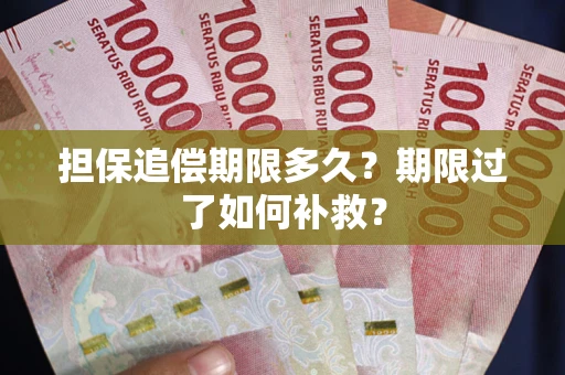 济南担保追偿期限多久？期限过了如何补救？