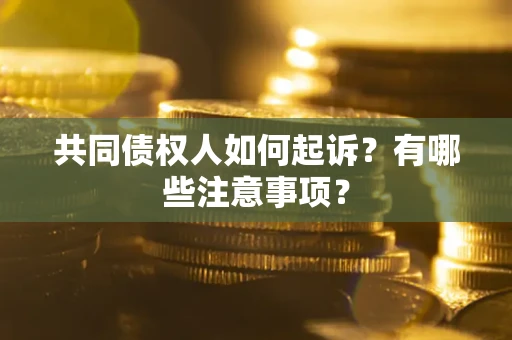 济南共同债权人如何起诉？有哪些注意事项？